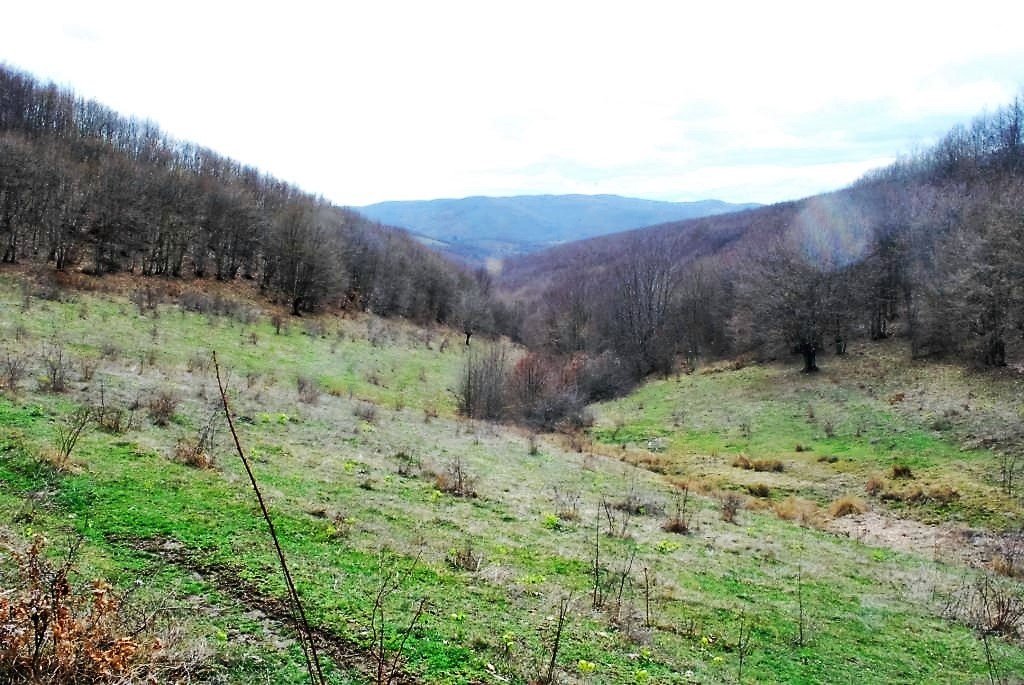 Image Alternative text