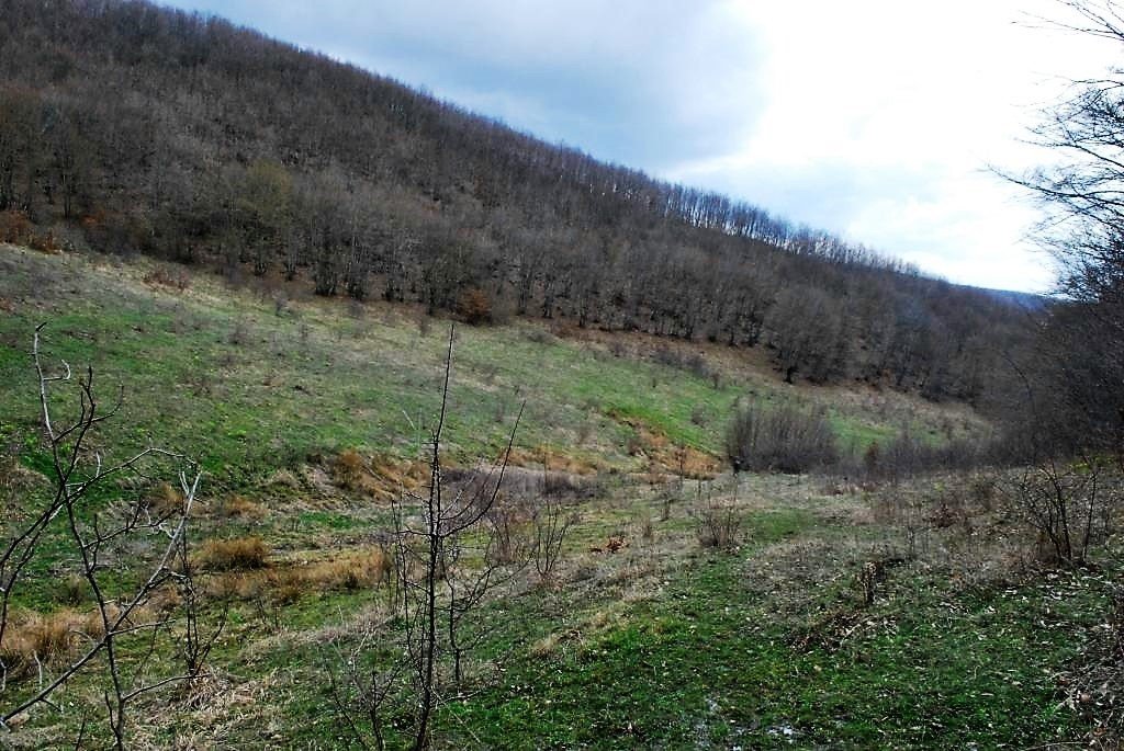 Image Alternative text