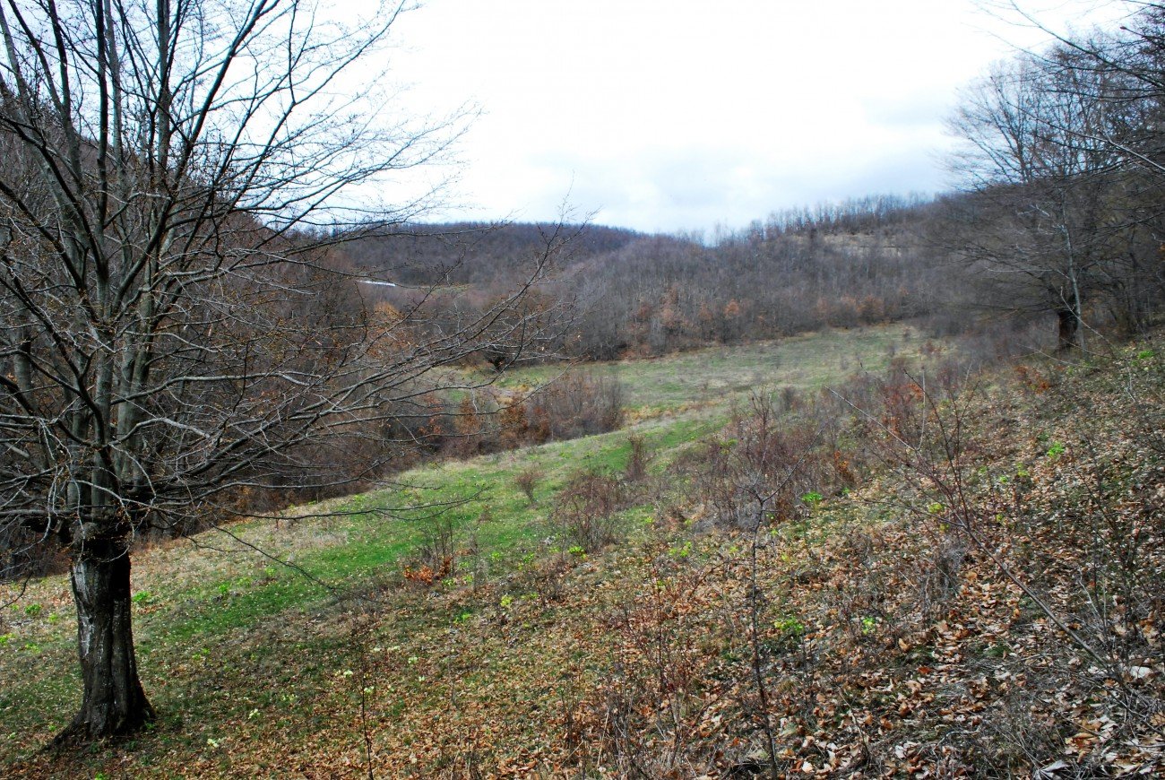 Image Alternative text