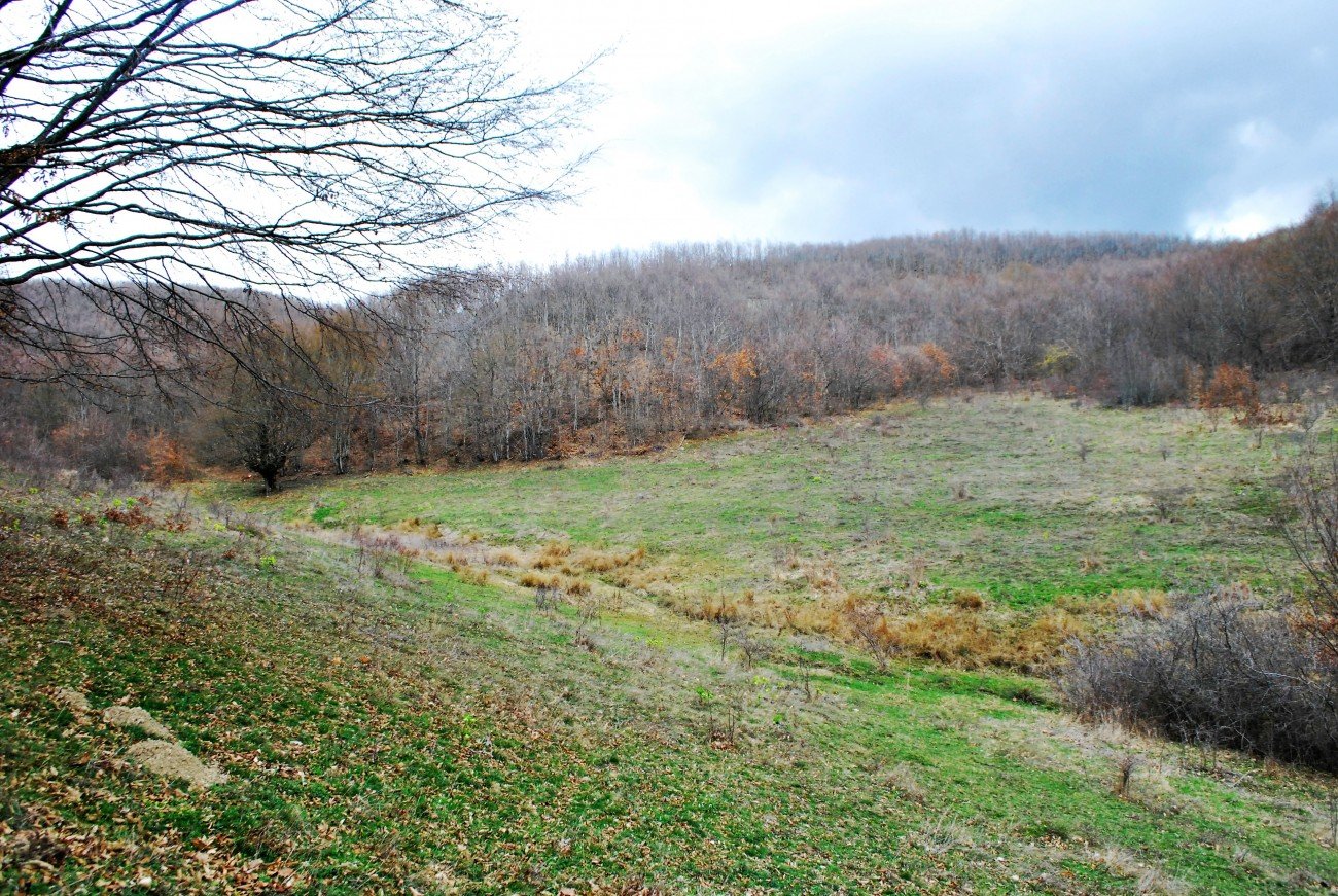 Image Alternative text