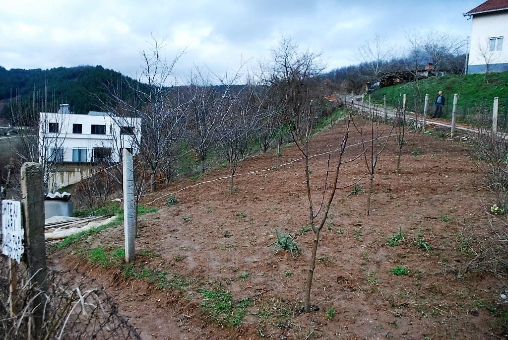 Image Alternative text