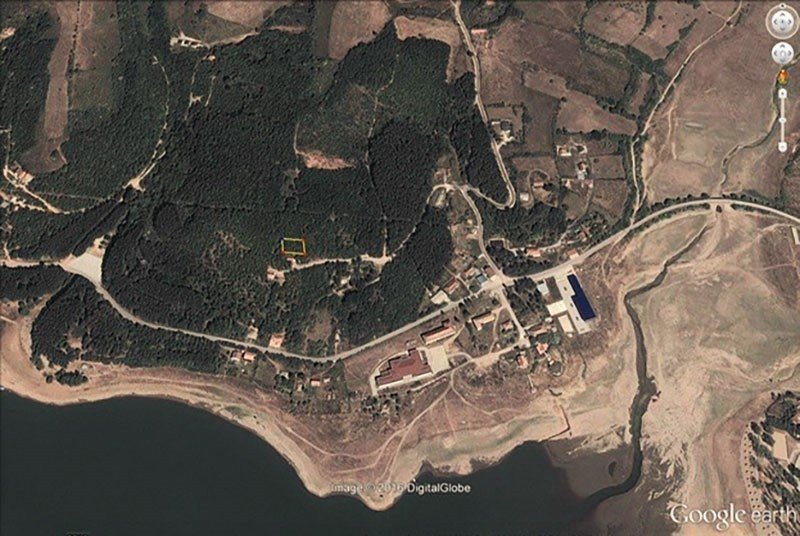 Image Alternative text