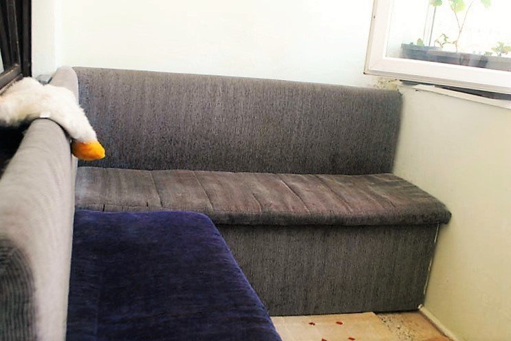 Image Alternative text