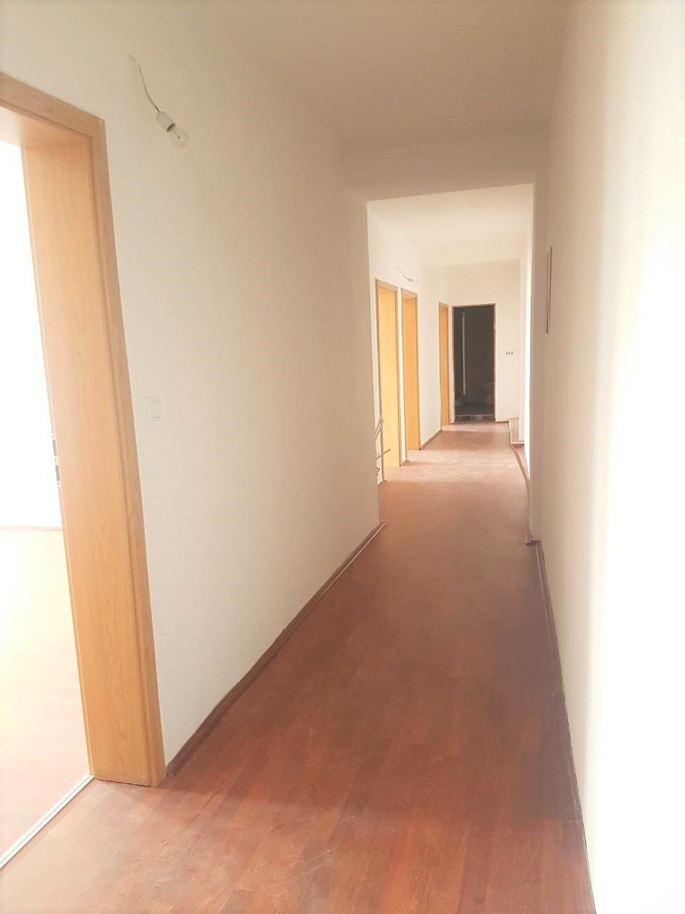 Image Alternative text